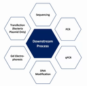 Transgenics Defined