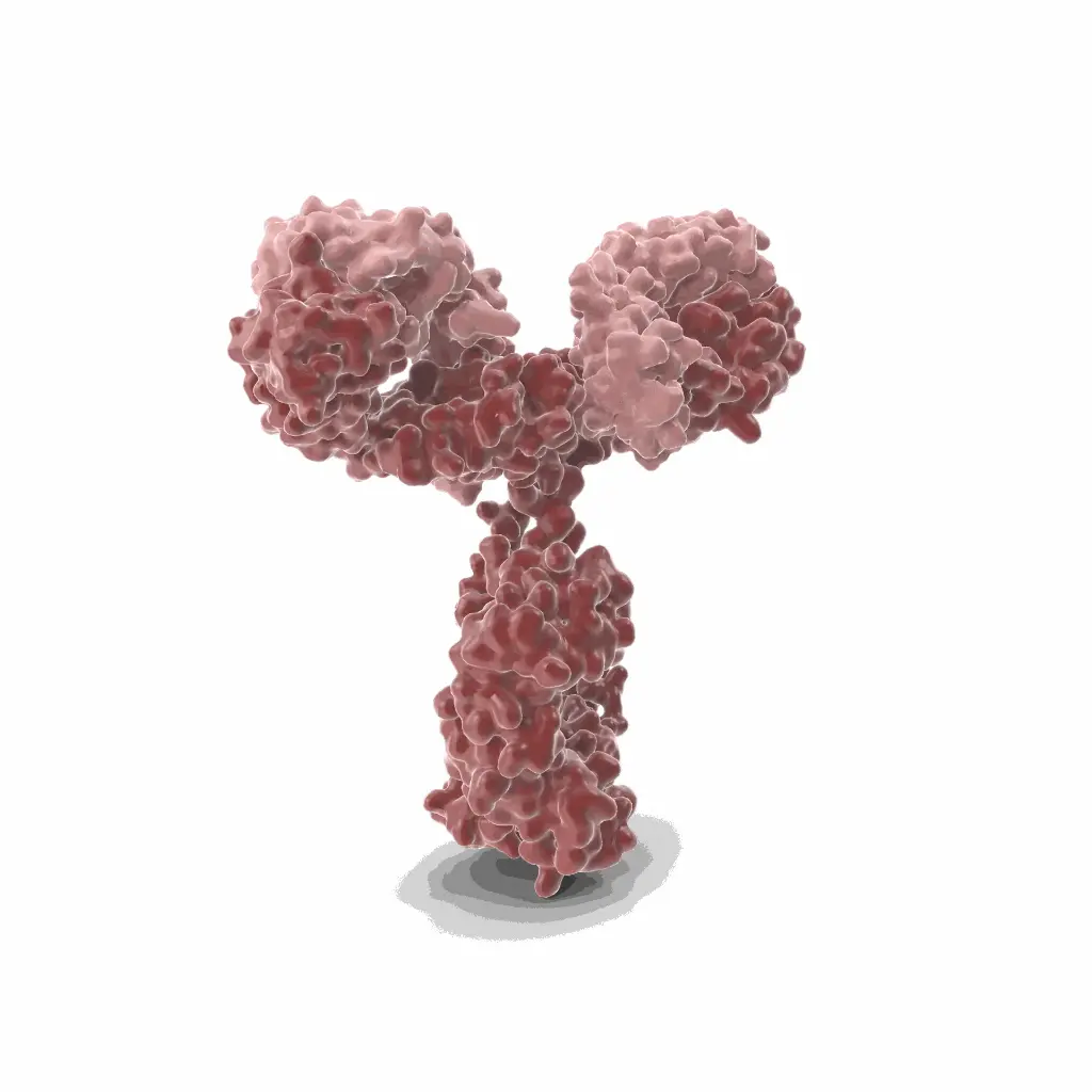 Gentaur ATTO 594 Antibody