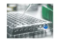 Testosterone ELISA