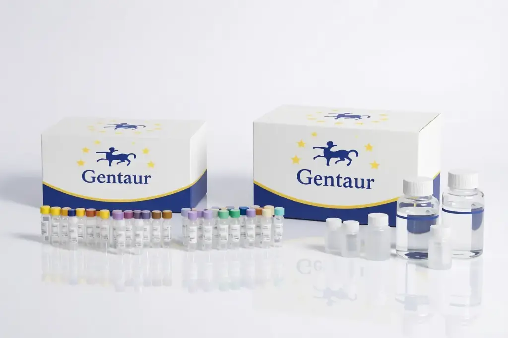 [K0333065P-sf] Rabbit IL-2 ELISA Kit, pink-ONE