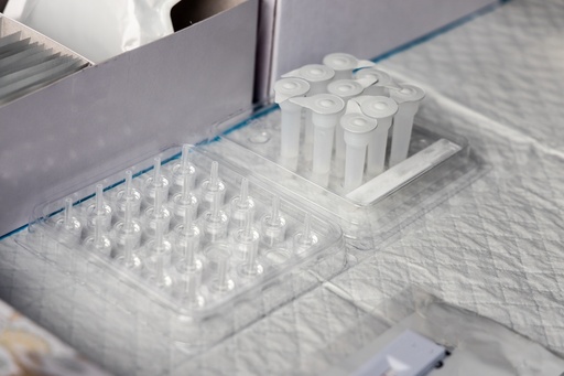 [GEN-BXP1045-km] pMEV2HA-MEKK1-K452M