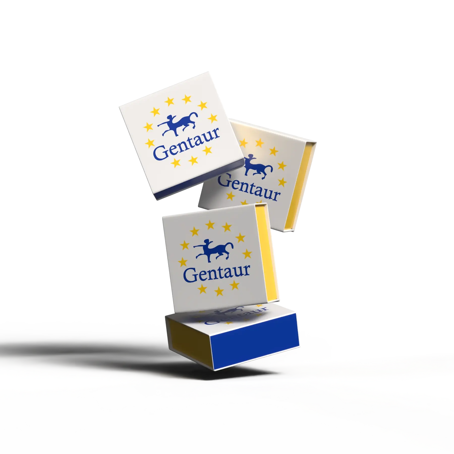 [EB0201] Bst DNA Polymerase