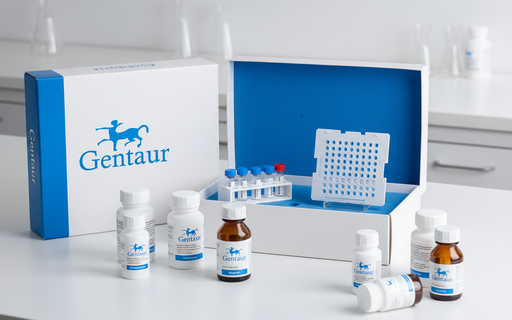 [203CPE2-100T] PE Anti-Human CD203c